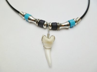 7/8" Mako Shark Teeth w/ 18" Blue Beads Cord Necklace