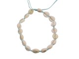 Cowrie Shell Necklace Tied w/ Sky Blue Adjustable Cord