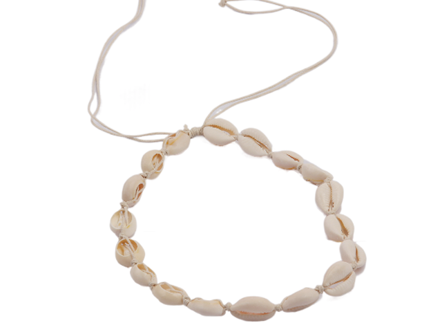 Cowrie Shell Necklace Tied w/ Cream Adjustable Cord