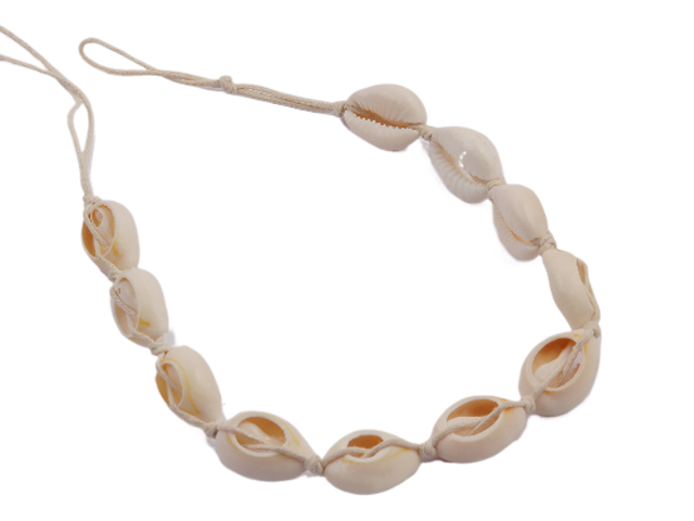 Cowrie Shell Necklace on Adjustable Cream Cord Loop