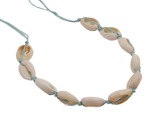Cowrie Shell Necklace on Adjustable Sky Blue Cord Loop
