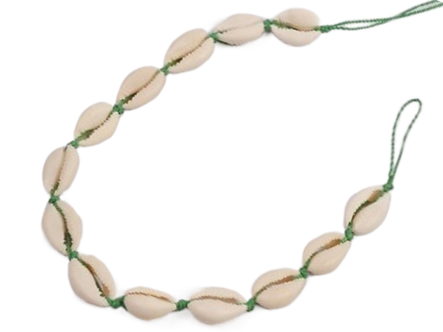 Cowrie Shell Necklace on Adjustable Green Cord Loop