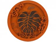 13-Hawaii Round Magnet -18008
