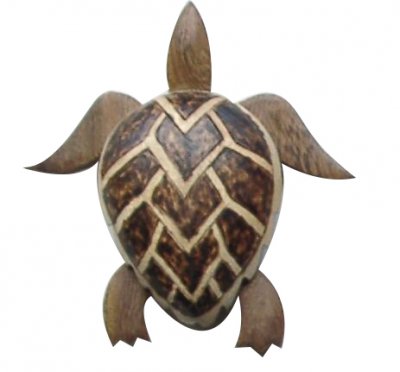 4" Large Wood Turtle Magnet