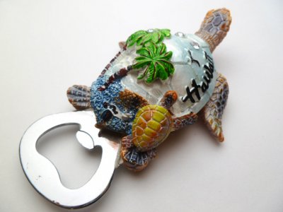 4.25" Turtle w/ Palm Tree Opener Magnet