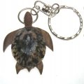 2" Opihi Shell Wood Turtle Keychain