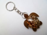 2" Cowry Shell Wood Turtle Keychain