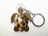 "Maui", 2" Cowry Shell Wood Turtle Keychain