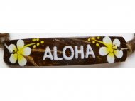2-Aloha