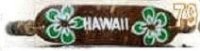 Green Plumeria "Hawaii" Coco ID Elastic Bracelet