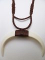 Large Jointed Boar's Tusk 13x9cm+ w/ Dark Brown Cord