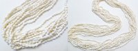 56" White Nasa Shell Necklace