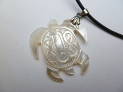 shell turtle necklace