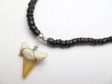 3/4" Fossilized Moroccan Shark Teeth w/ Coconut Necklace