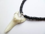Bone Powder Shark Tooth w/ 18" Coconut & Wood Beads Necklace