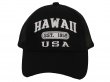"Hawaii 1959 USA" Embroidered Black Mesh Cotton Cap