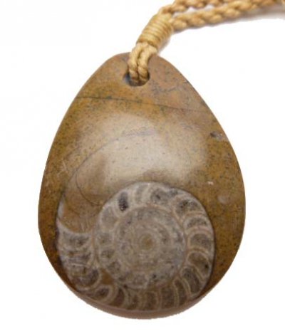 Tear Drop Ammonite Fossil w/ Adjustable Hemp Cord