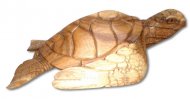 Special Order-20" Wood Walking Sea Turtle, 3pcs/cs