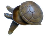 Special Order-10" Carved Wood Turtle Bowl / Box, 15pcs/cs