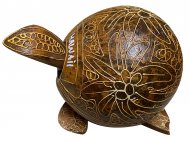 28-Nodding Turtle