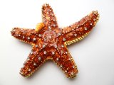 Brown 4" Crystal Star Fish Jewelry Box