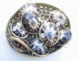 Limpet Shell Coin Purse
