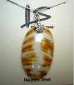 Natural Oval Nautilus Shell Pendant w/0.7mm 925 Silver Box Chain