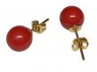 8mm Red Coral Stud Earring with 18k Gold Finding