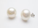 12mm White Freshwater Pearl Earring w/ 925 Silver Finding