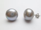 13mm GrayFreshwater Pearl Earring w/ 925 Silver Finding