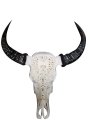 Hand Carved Authentic Buffalo Head Skull with Horns
