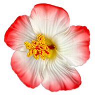 90mm Red & White Hibiscus Foam Flower Clip, 12/pk