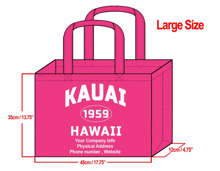 LARGE -35x45x12cm Kauai Hawaii 1959 Design &Your Info In White - Click Image to Close