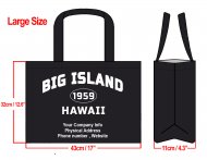 LARGE -35x45x12cm Big Island Hawaii 1959 & Your Info In Black
