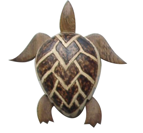 4" Wood Turtle Magnet