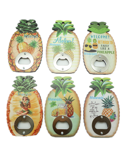 Assorted Hawaii Pineapple Bottle Opener & Magnet