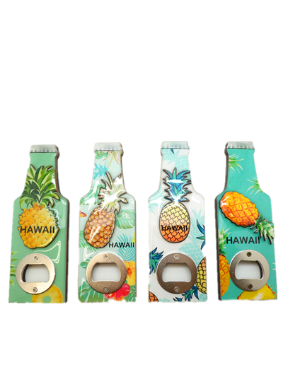 Assorted Hawaii Pineapple Print Bottle Opener & Magnet