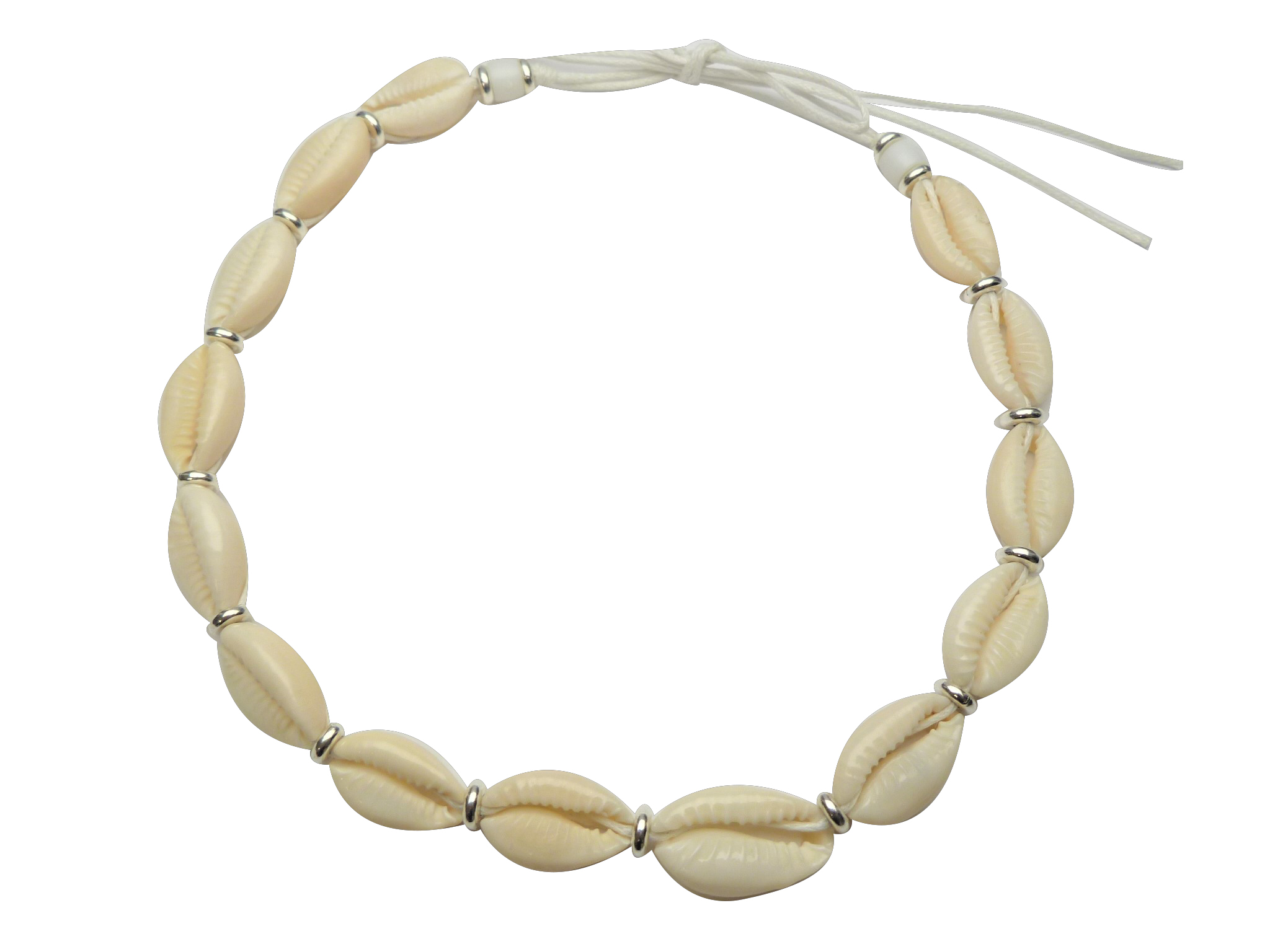 Cowrie Shell Necklace Strung w/ White Adjustable Cord - Click Image to Close