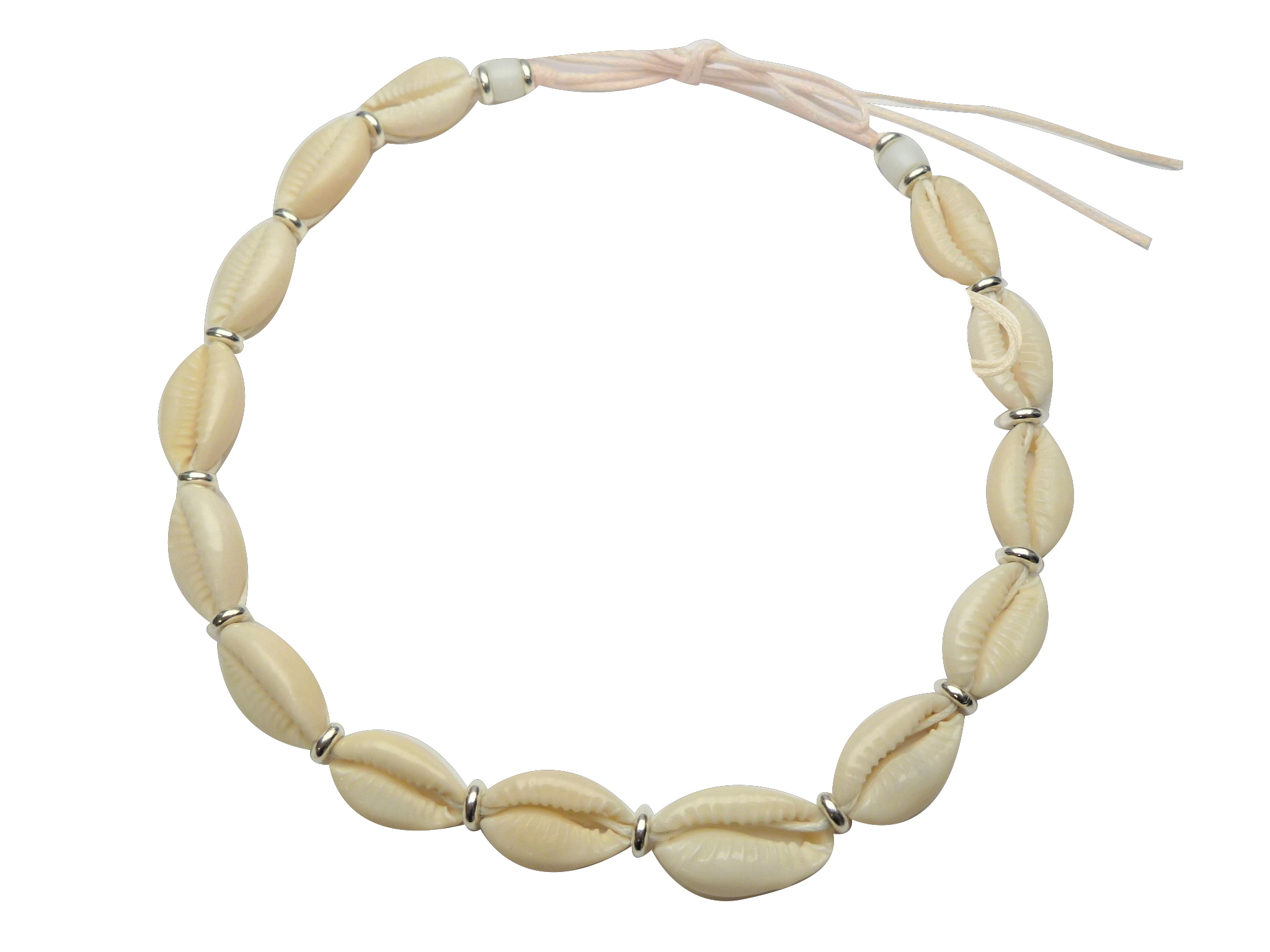 Cowrie Shell Necklace Srung w/ Adjustable Cream Cord - Click Image to Close