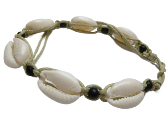 Natural Cowrie Shell Bracelet / Anklet w/ Black Beads