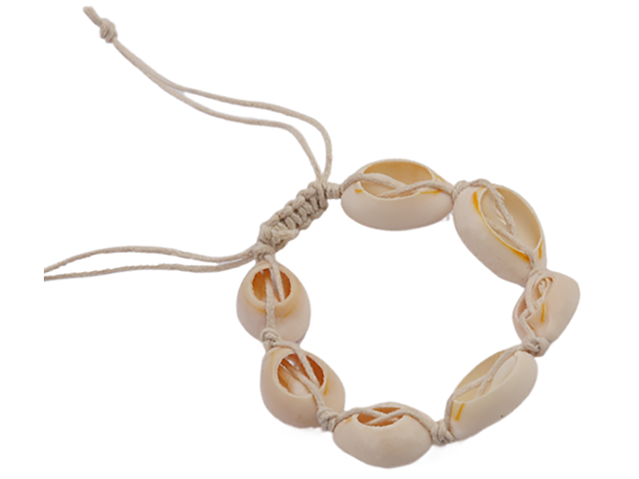 Cowrie Shell Bracelet / Anklet Tied w/ Cream Adjustable Cord