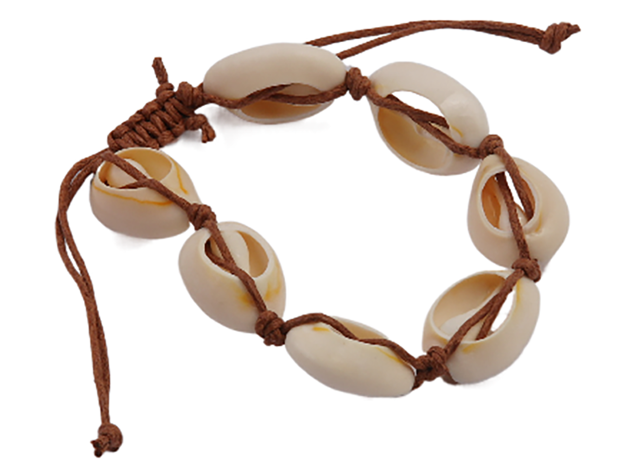 Cowrie Shell Bracelet / Anklet Tied w/ Brown Adjustable Cord