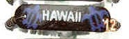 "Hawaii" PurpleTurtle Design Coconut ID Elastic Bracelet