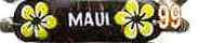 Yellow Plumeria "Maui" Coco ID Elastic Bracelet