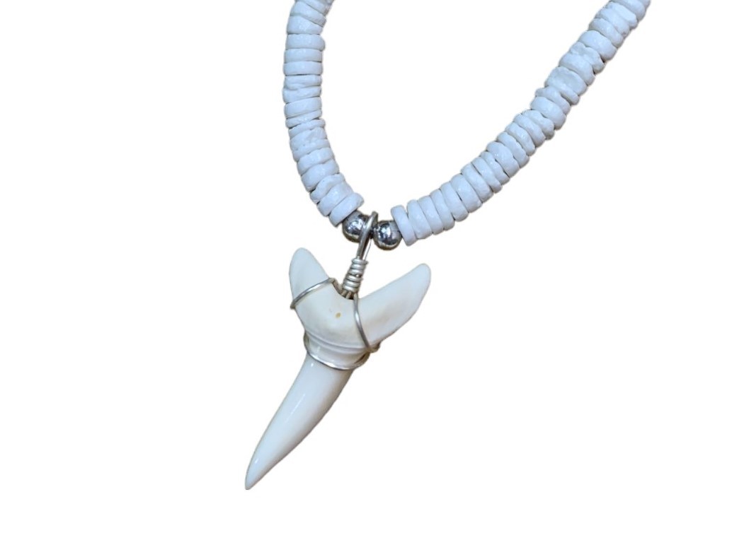 1 3/8' Mako Shark Teeth with 4/5mm white Clam Shell 18'