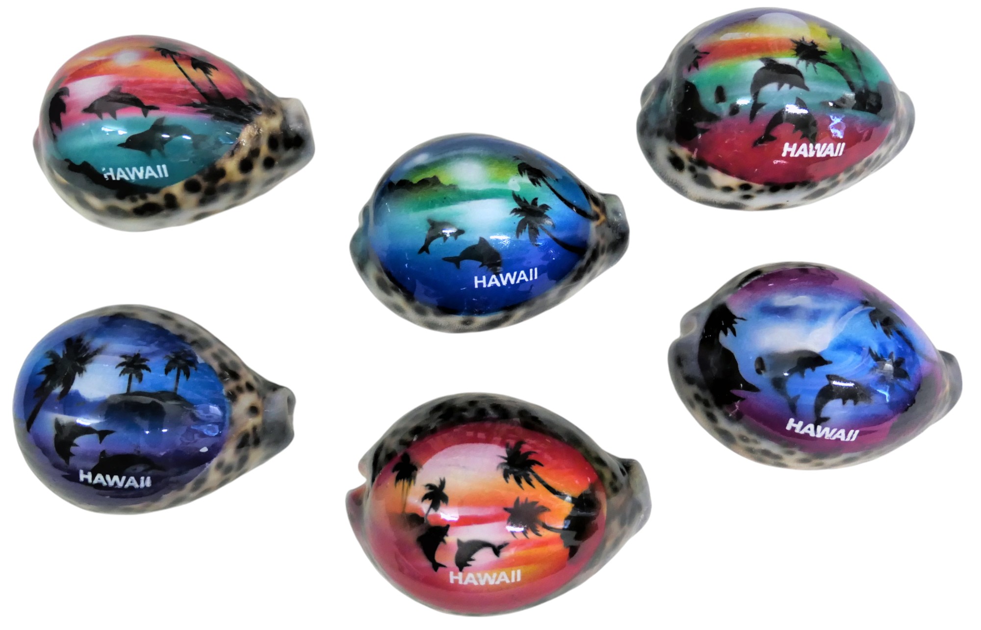 "Hawaii" Assorted Airbrushed Beach Scene Cowry Shell