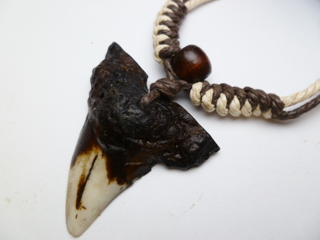 Buffalo Bone Powder Tooth w/ Adjustable Cord