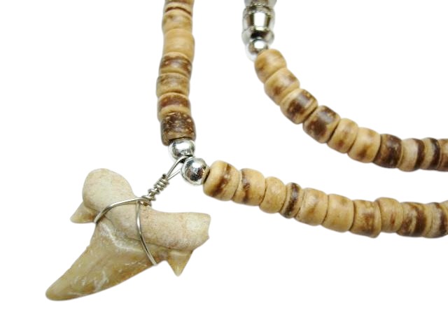 3/4" Fossilized Moroccan Shark Teeth w/ Coconut Necklace