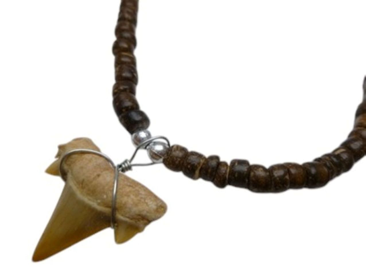 3/4" Fossilized Moroccan Shark Teeth w/ Coconut Necklace