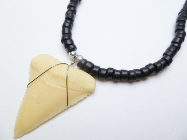 Bone Powder Shark Tooth w/ 18" Coconut & Wood Beads Necklace